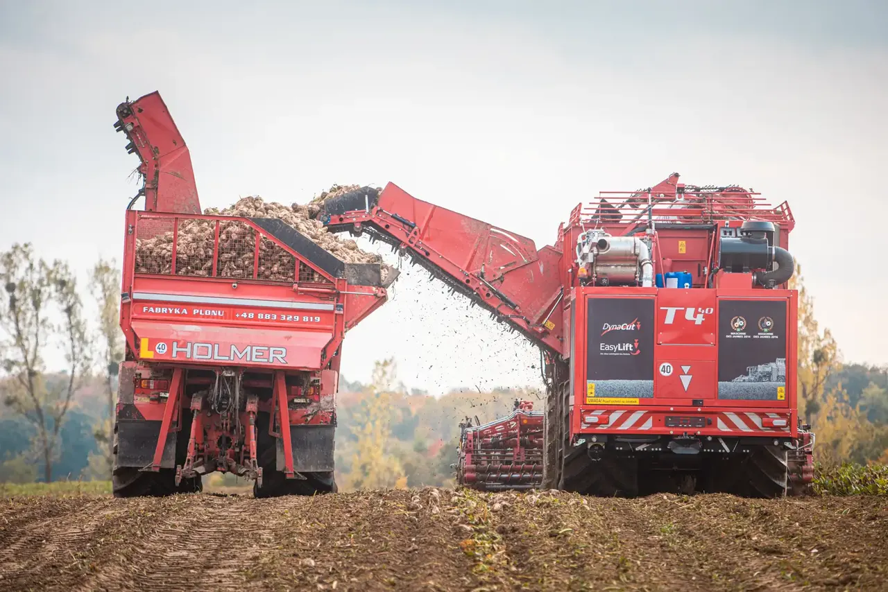 Kombajn Holmer T4-40 przeładowuje buraki cukrowe do wozidła na polu.